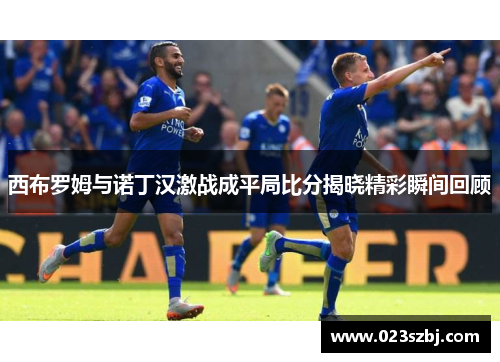 西布罗姆与诺丁汉激战成平局比分揭晓精彩瞬间回顾